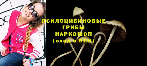 mix Верея